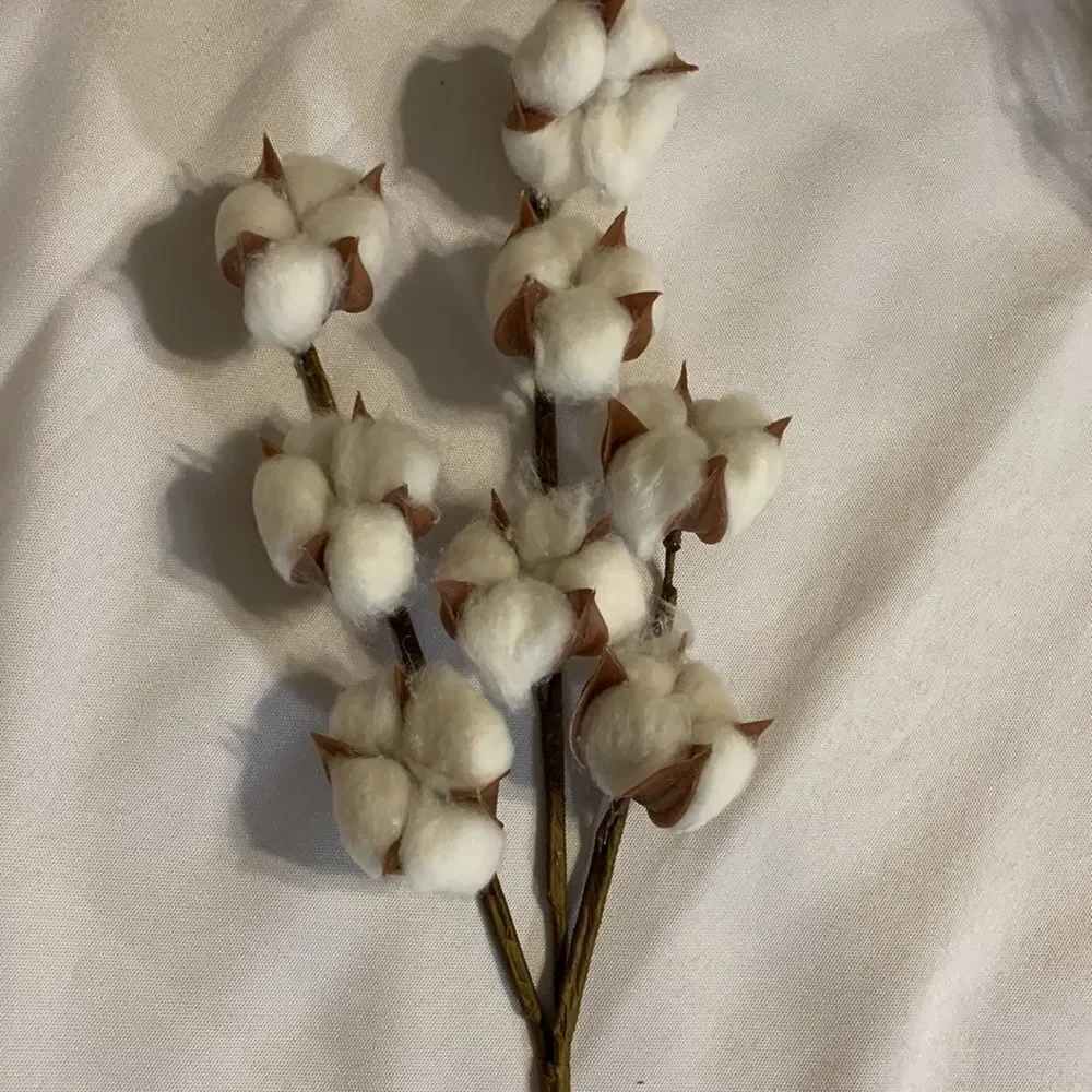 Cotton picks SET OF FOUR STEMS